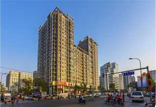 青浦区井字植草砖哪家好